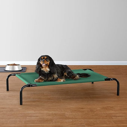 Amazon Basics Cooling Elevated Dog Bed with Metal Frame 36 x 22 x 7.5 Inch,