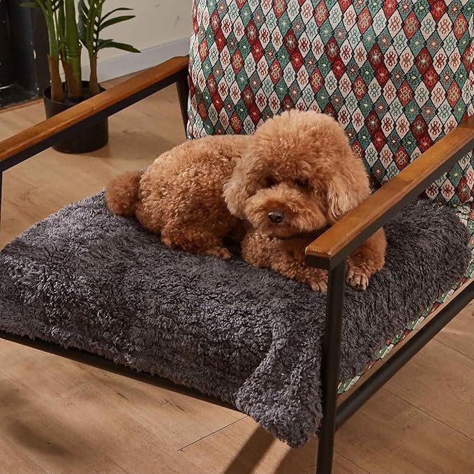 Kritter Planet Waterproof Blanket for Dogs