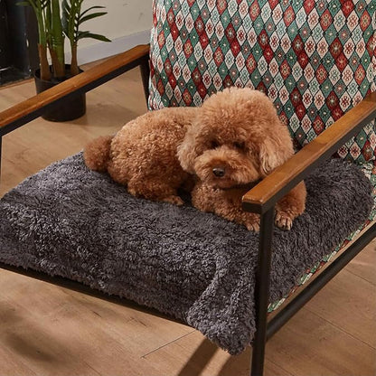 Kritter Planet Waterproof Blanket for Dogs