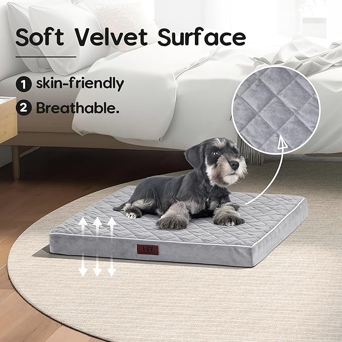 Orthopedic Dog Beds for Small Dogs with Removable Washable Cover 22 inch,