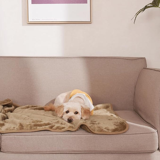 NICETOWN Waterproof Dog Blanket 40" x 50", Taupe