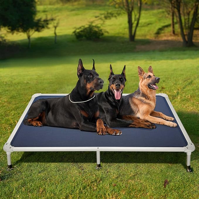 Veehoo Chew Proof Elevated Dog Bed CWC2003