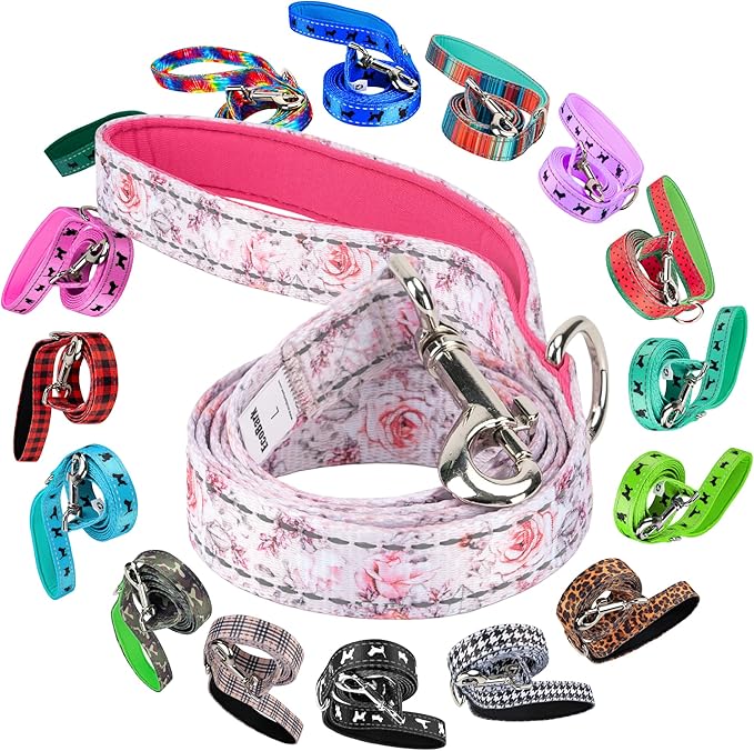 EcoBark Dog Leash - 4 FT / 5 FT / 6 FT Reflective Dog Leash- Eco-Bright Dog Leashes with Padded Handle - Strong Heavy Duty Dog Leash - Nylon Dog Leash for Medium and Large Dogs (Floral Dog Harness)