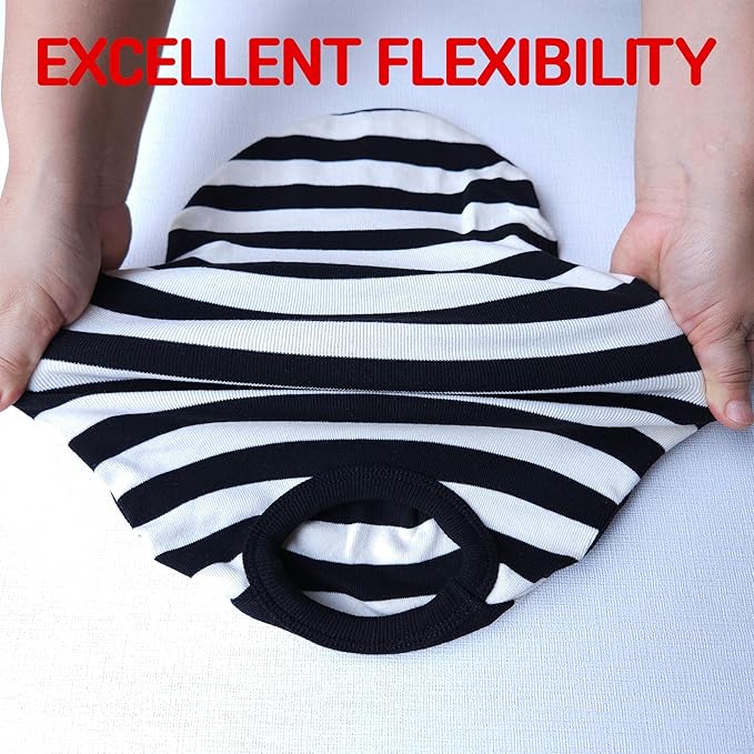 Dachshund Clothes for Dogs Mini and Adults T Shirts (M