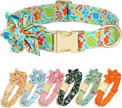 Beirui Cute Girl Dog Collars for Female Dogs