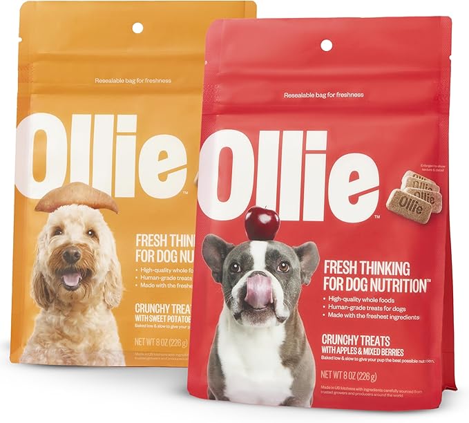 Ollie Crunchy Treats Variety Pack - Apple Berry & Sweet Potato Recipe - Crunchy Dog Treats All Natural - Healthy Dog Treats - 100% Human Grade - Baked in USA Kitchens 16 Oz.