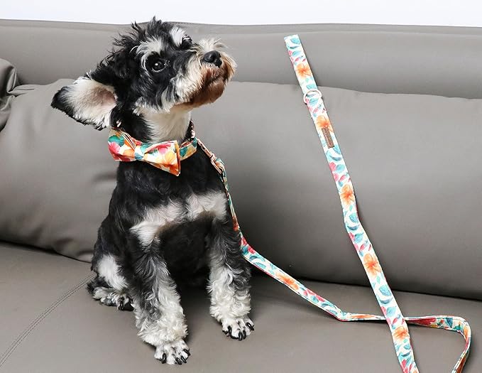 Unique Style Paws Cotton Dog Collar with Bow