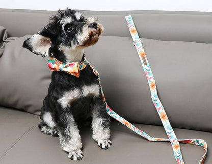 Unique Style Paws Cotton Dog Collar with Bow