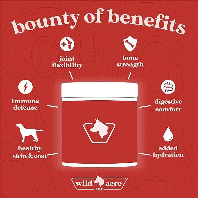 Wild Acre Premium Beef Bone Broth for Dogs – High Protein + Collagen Enhanced with Mushroom Blend for Strong Bones, Joint Flexibility, Digestive Comfort, and Immune Support - Natural Dog Food Topper