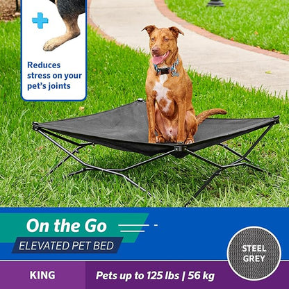 Coolaroo On The Go Cooling Elevated Dog Bed