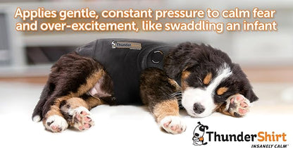 ThunderShirt for Dogs