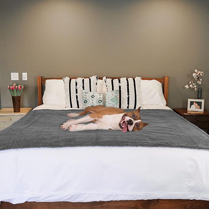 rocket & rex Large Waterproof Dog Blankets for Dogs