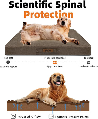Sytopia Orthopedic Extra Large Dog Beds with Detachable Blanket