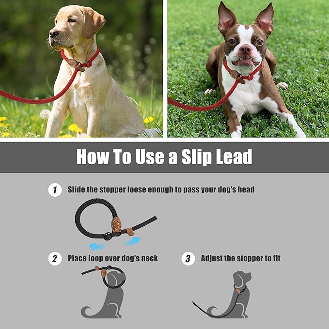 Mile High Life Slip Leads for Dogs 5 Feet