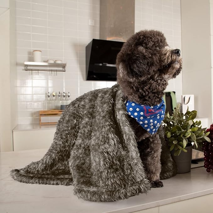 MACEVIA Fluffy Fleece Dog Blankets (24x29 Inch,