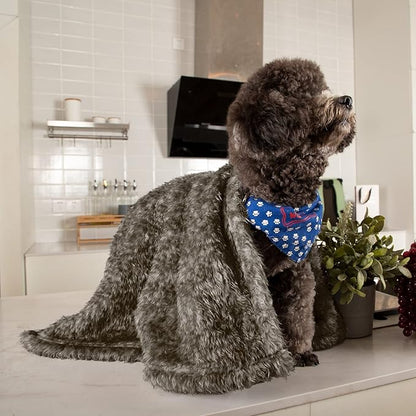 MACEVIA Fluffy Fleece Dog Blankets (24x29 Inch,
