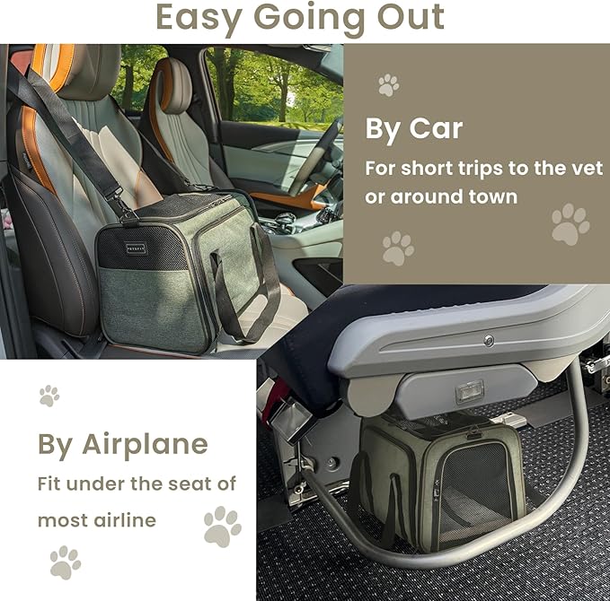 Petsfit Expandable Cat Carrier Dog Carrier, Soft-Sided Portable Pet Travel Carrier, Removable Soft Plush mat and Pockets, Locking Safety Zippers, 19x12x12 Inches