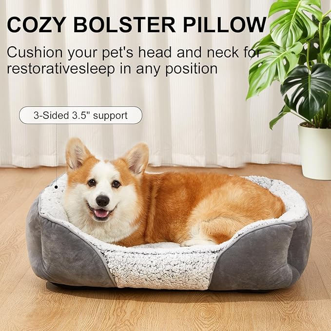 Dog Bed Orthopedic Dog Beds for Small Medium Dogs