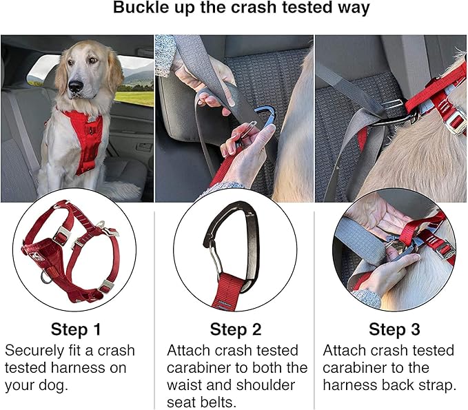 Kurgo Tru-Fit Enhanced Strength Dog Harness - Certified Crash Tested Car Safety Harness for Dogs - Metal Buckles, Padded Chest - includes Pet Seatbelt - No Pull Training - Black, Extra Large