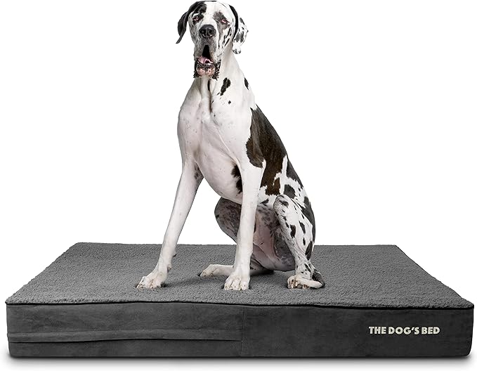 The Dog’s Bed Orthopedic Memory Foam Dog Bed 54x36, Pain
