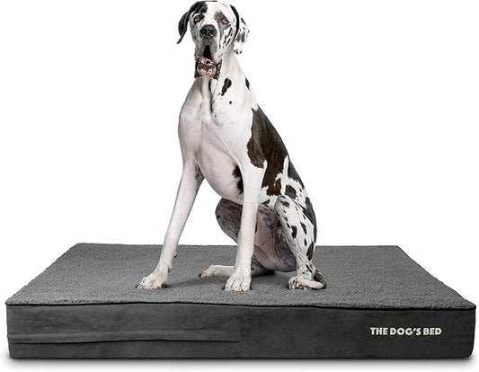 The Dog’s Bed Orthopedic Memory Foam Dog Bed 54x36, Pain