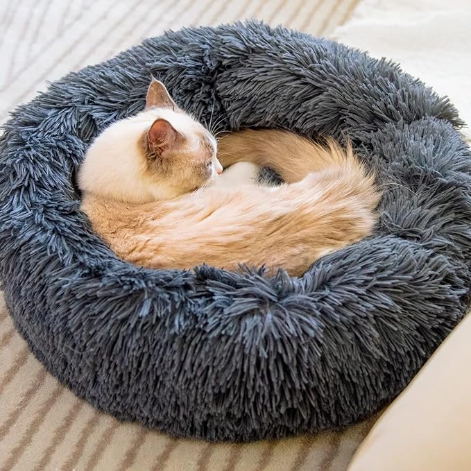 Cat Beds for Indoor Cats 20/24 inches,