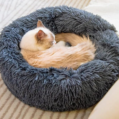 Cat Beds for Indoor Cats 20/24 inches,