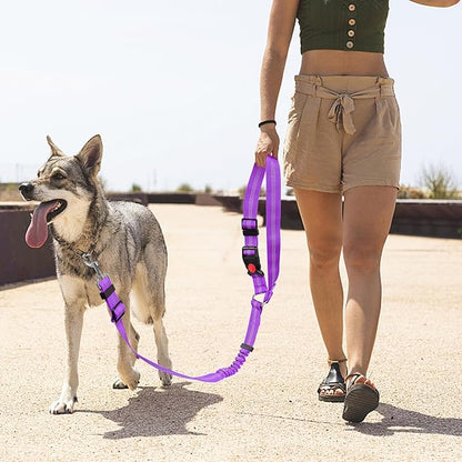 YAODHAOD Dog Seat Belts