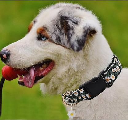 Flower Patterns Dog Collar with Accessories