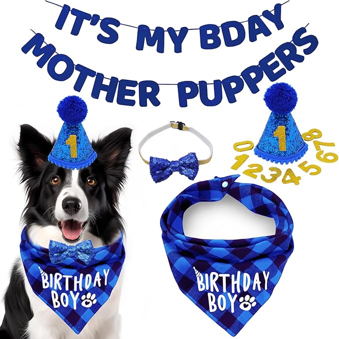 Birthday Plaid Dog Bandana with Button