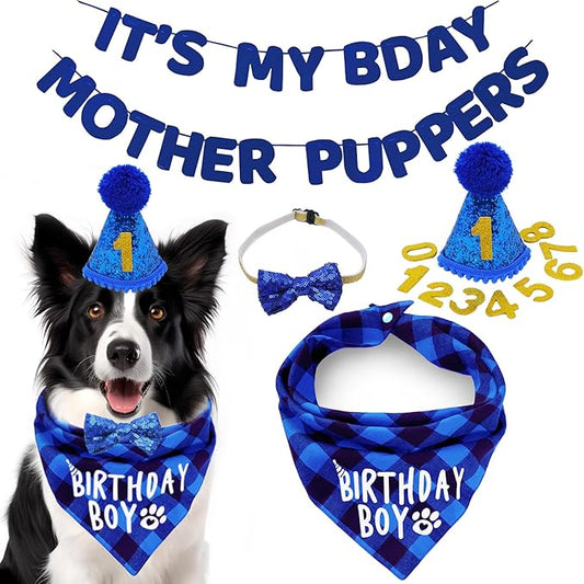 Birthday Plaid Dog Bandana with Button