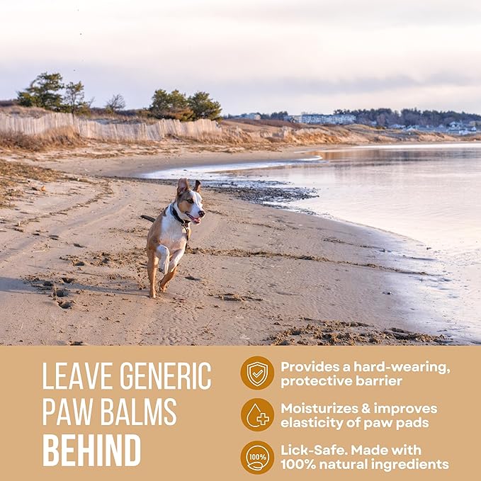 Dog Paw Beach Wax 2oz