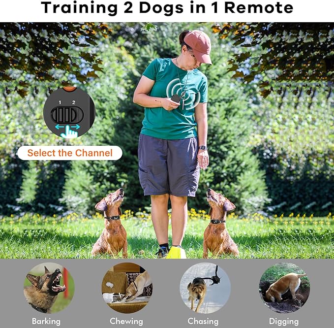 AI Dog Shock Collar 2 Dogs (10-120Lbs) 3300FT Dog IPX7 Waterproof