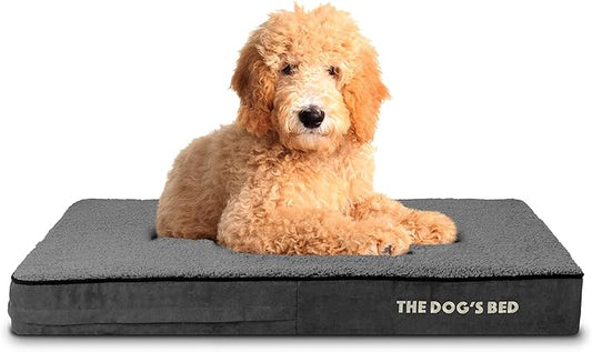 The Dog’s Bed Orthopedic Memory Foam Dog Bed 40x25x4, Pain