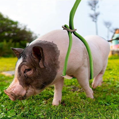 Mini Pig Harness & Leash, Adjustable 8 Feet Long Rope for Small to Medium Pet Pigs