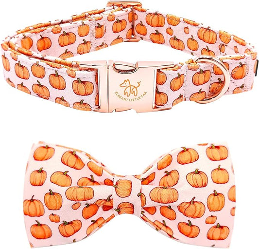 Elegant little tail Fall Dog Collar