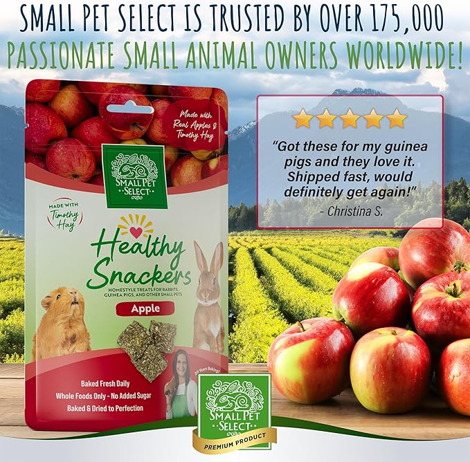 Small Pet Select Healthy Snackers - Apple, 4 oz