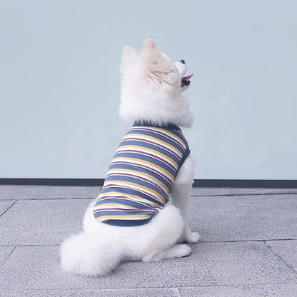 Striped Teacup Pet Dog T-Shirts 100% Cotton