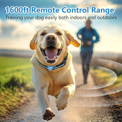 Dog Shock Collar with Remote Control 2 Dogs, 3 Training
