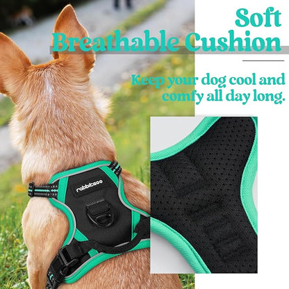 rabbitgoo Dog Harness, No-Pull Pet Harness with 2 Leash Clips, Adjustable Soft Padded Dog Vest, Reflective No-Choke Pet Oxford Vest with Easy Control Handle for Large Dogs, Black & Turquoise, X-Small