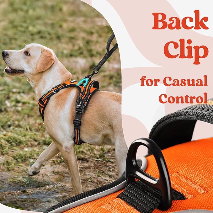 rabbitgoo Dog Harness for Large, No Pull Pet Harness with 3 Buckles, Adjustable Soft Padded Dog Vest with Instant Control Handle, Easy Walking Reflective Pet Vest for Extra Large Dogs, Orange, XL