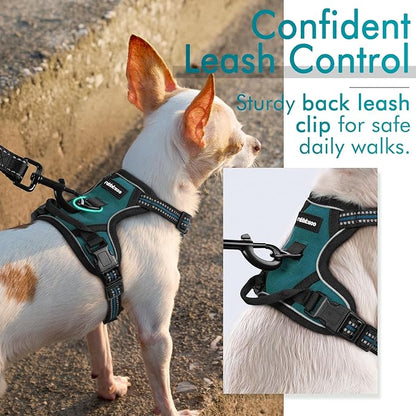 rabbitgoo Dog Harness, No-Pull Pet Harness with 2 Leash Clips, Adjustable Soft Padded Dog Vest, Reflective No-Choke Pet Oxford Vest with Easy Control Handle for Small Dogs, Blue Coral, XS