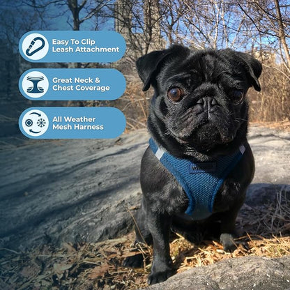 Voyager Step-in Air Dog Harness - All Weather Mesh Step in Vest Harness for Small and Medium Dogs and Cats by Best Pet Supplies - Harness (Blue), XL (Chest: 20.5-23")