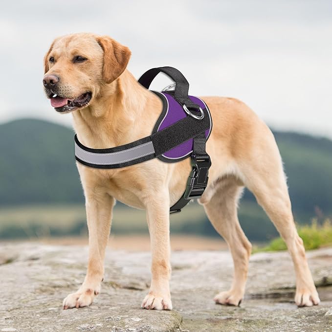 Haapaw Essential Dog Harness, No Pull Pet Vest with 3 Leash Clips, No Choke, Reflective, Adjustable and Padded, for Easy Walking and Training for Large Dogs(L, Purple)