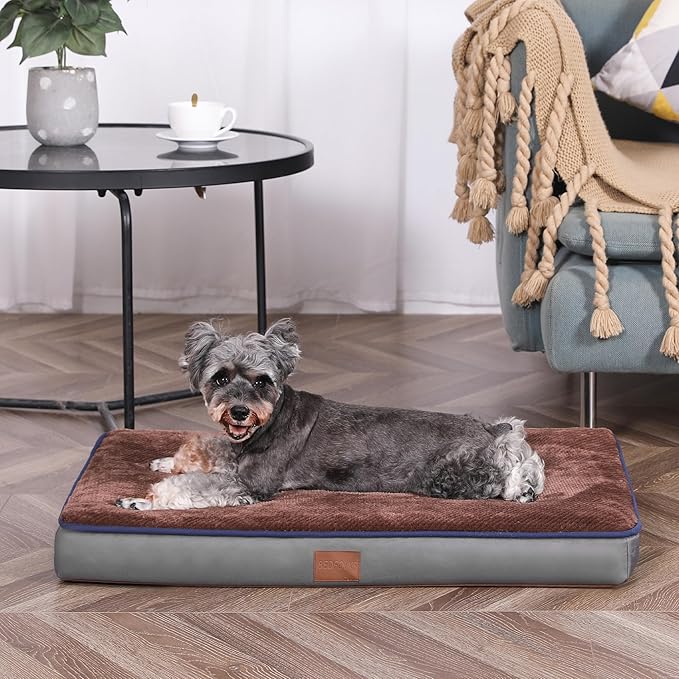 Bedfolks 3" Thick Orthopedic Dog Bed for Medium Dogs