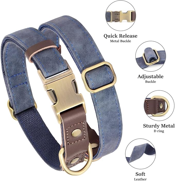 Didog Soft Padded Leather Dog Collars for Small Dogs