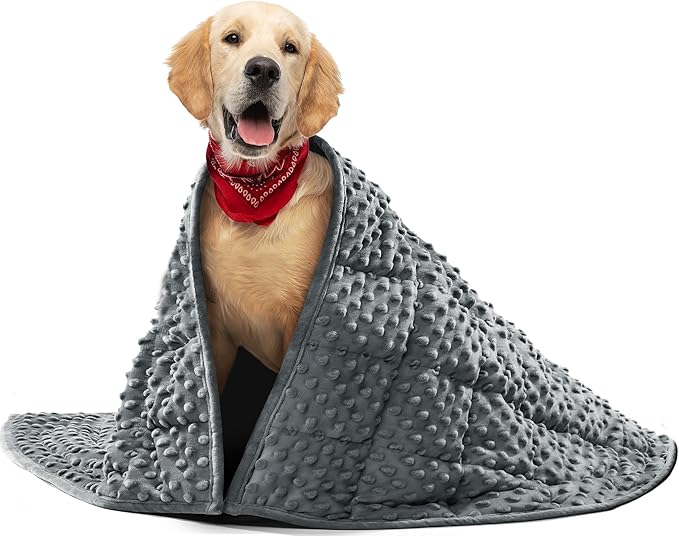 YUSRA Small Weighted Blanket for Dogs, Minky Travel Weighted Blanket, Especially for Thunderstorms, Fireworks, Separation, Bed and Couch, Soft Dog Blanket, Machine Washable (Grey, 32 * 40inch 4lbs)