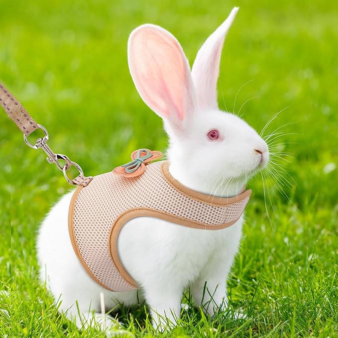 AIITLE Bunny Harness and Leash Set, Soft Breathable Mesh Vest Harness with Cute Bow for Rabbits Kitten Ferret Small Pig Puppy Walking Supplies Beige M