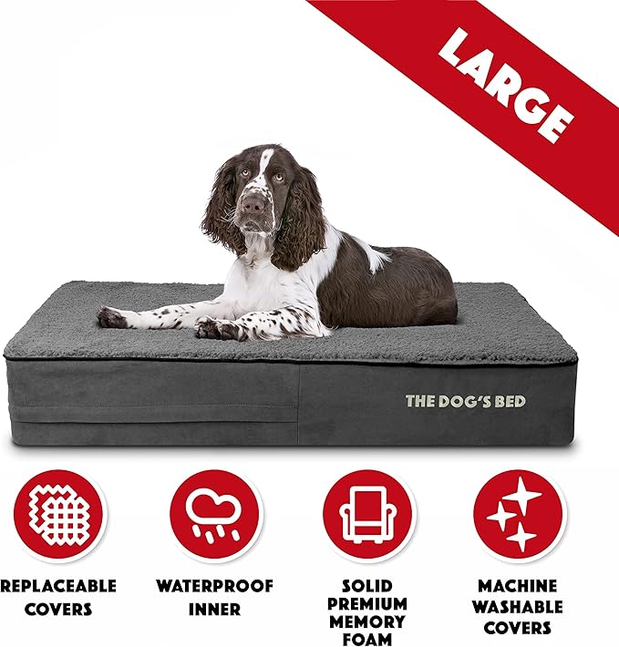 The Dog’s Bed Orthopedic Memory Foam Dog Bed 40x25, Pain