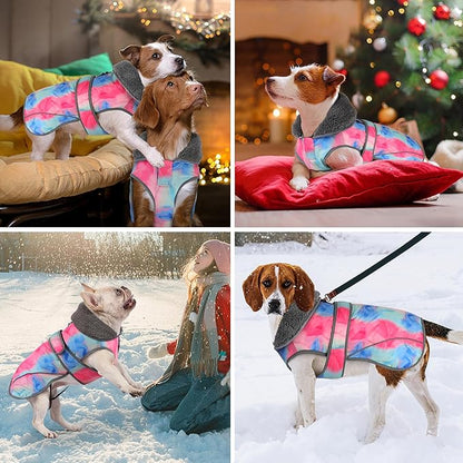 Dogcheer Dog Winter Coat Dogs(Rainbow,3XL)